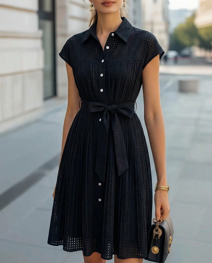 Elegant Sheer Pleated High-Neck Button-Up - Midi Dress
